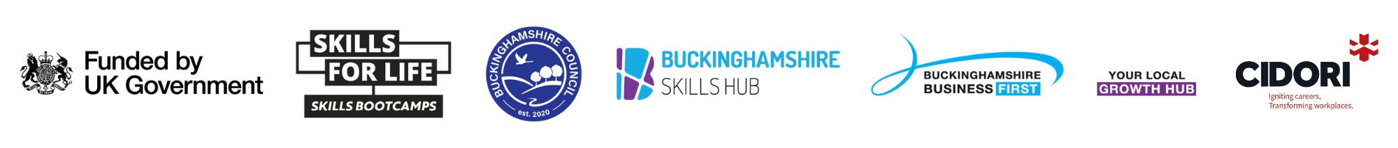 BCG Skills Bootcamps Logos v2