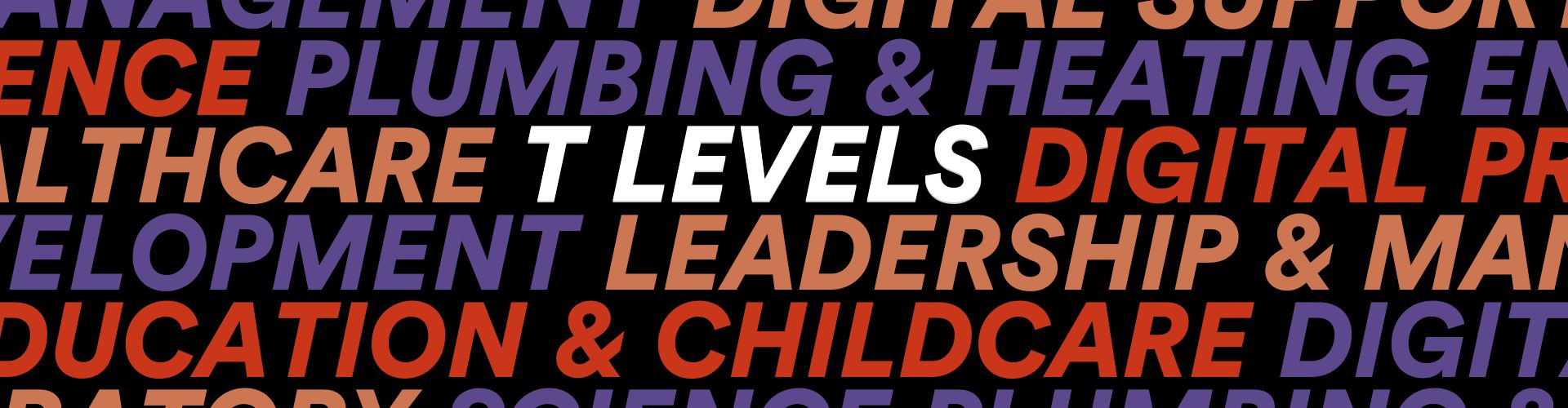 T Levels Page Banner