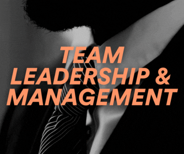 T Level in Team Leadership & Management